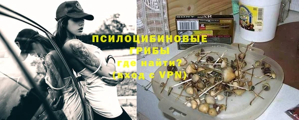 гидра Касимов