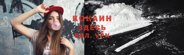 гидра Касимов