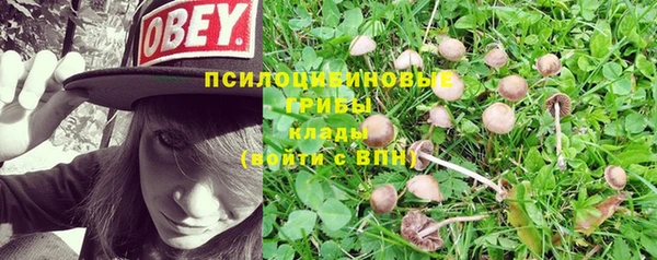 jwh Киреевск