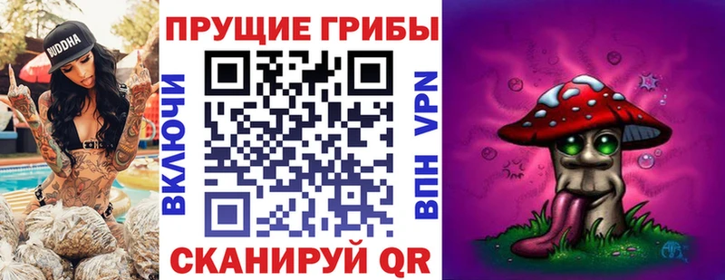 Галлюциногенные грибы Cubensis  Купить закладки  Орехово-Зуево 