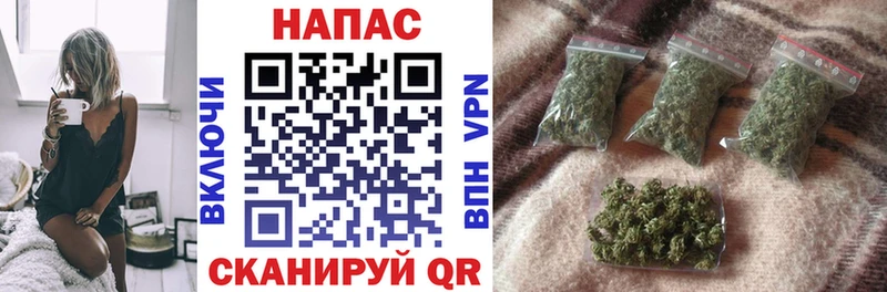 Купить закладки  Орехово-Зуево  Бошки марихуана конопля 